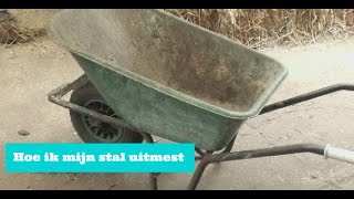 Hoe Ik Mijn Stal Uitmest Horsetime