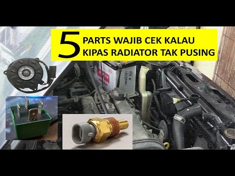 Video: Ke arah manakah nor'easters berputar?