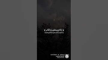 تلاوة بصوت أحمد النفيس من سورة الأحزاب  #قران #قرآن_كريم #آيات #استغفرالله #الحمدلله #quran