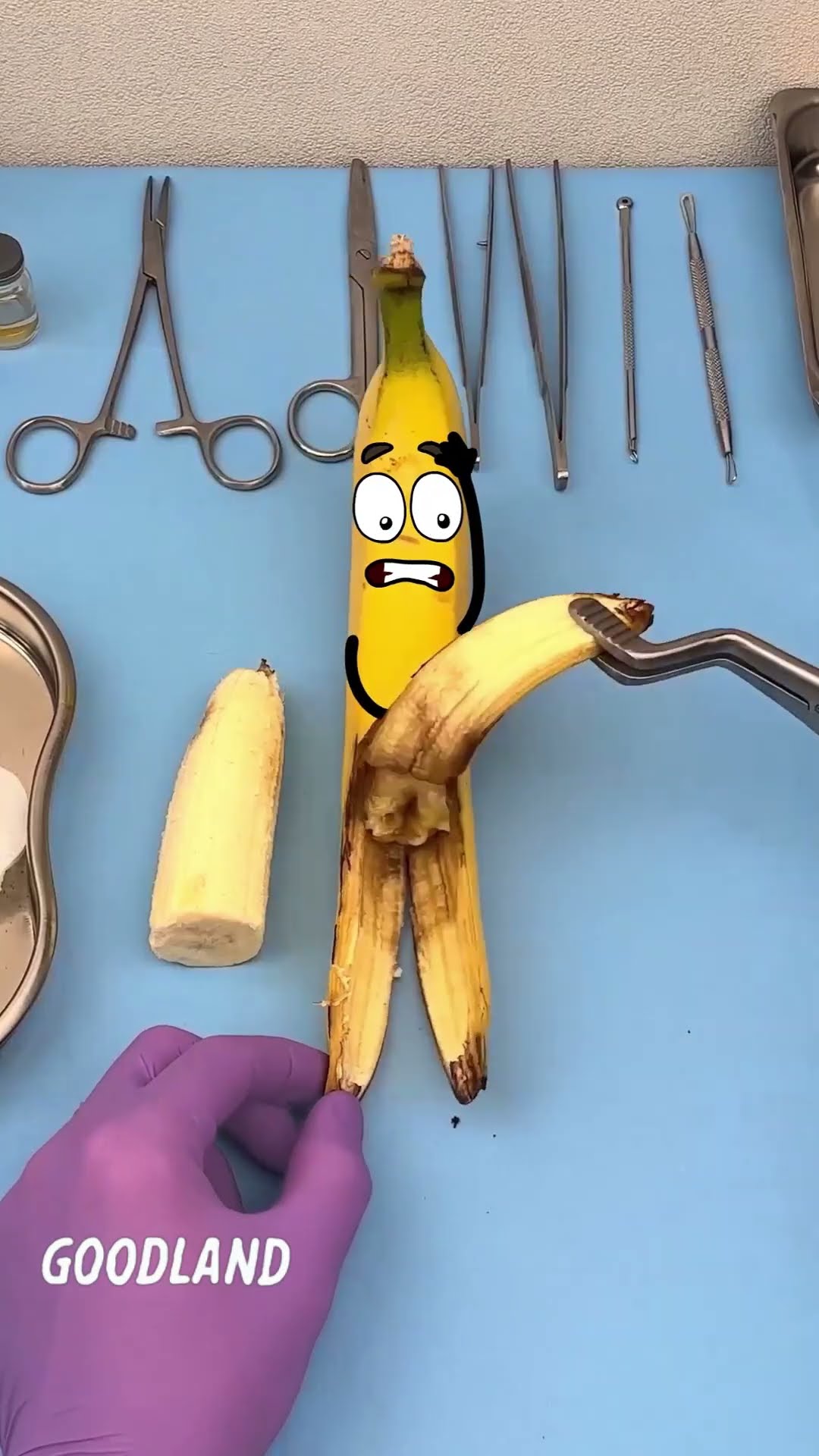 GOODLAND Animation Shows You What Happens When Banana Surgery Goes WRONG