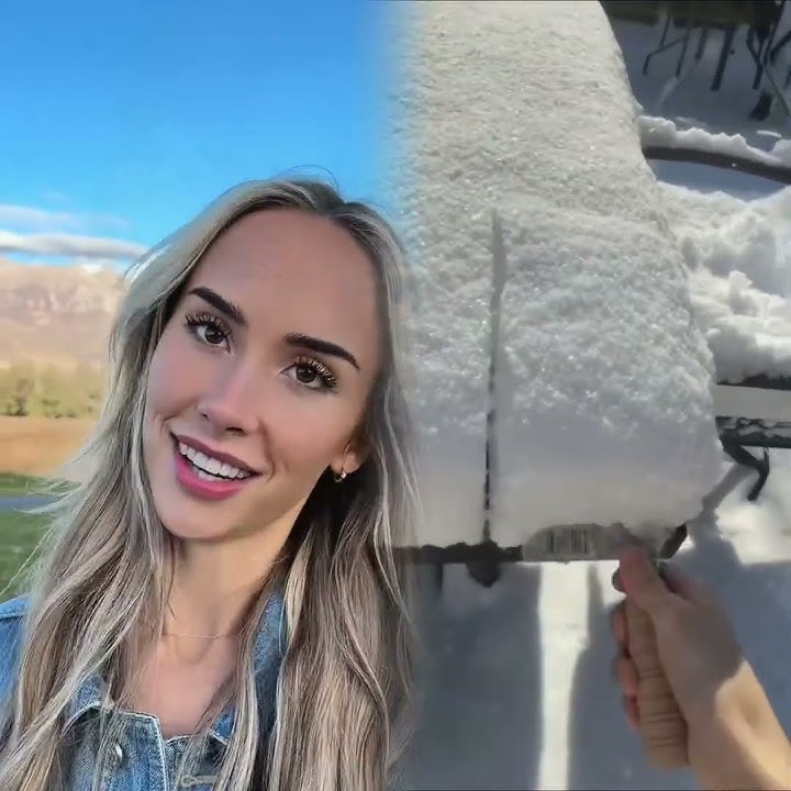 Oliver is innocent #dogsoftiktok #dogs #dogcomedy #relatable #funny