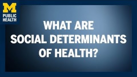 What Are Social Determinants of Health? | Michigan Public Health