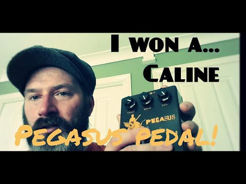 i-won-a-caline-pegasus-overdrive-guitar-pedal!