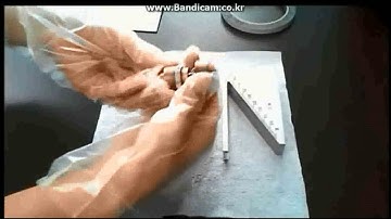 3 Sample Preparation