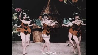 Superb Hand-Coloured Film Of Magical Beehive Story, 1900S - Film 1011233