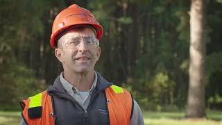 In the Forest: A Virtual Forest Tour with International Paper