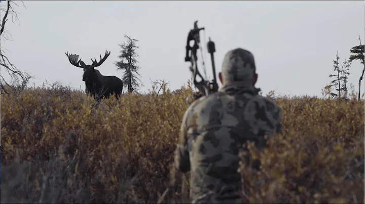 Every Year - Alaskan Archery Moose Hunt