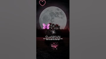القران الكريم القران الكريم #اكسبلور #duet #دويتو #لايك #لا #ترند #حالات_واتس #ح #حالات