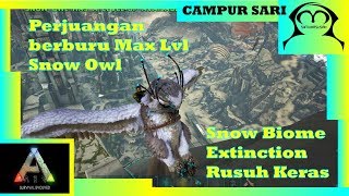 Ark Survival Evolved Indonesia Cara Taming Snow Owl Ep4