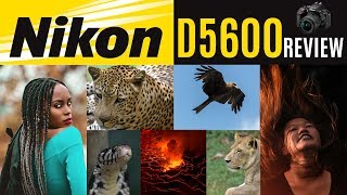 NIKON D5600 REVIEW - WILDLIFE & PORTRAIT PHOTOGRAPHY WITH SAMPLE IMAGES.