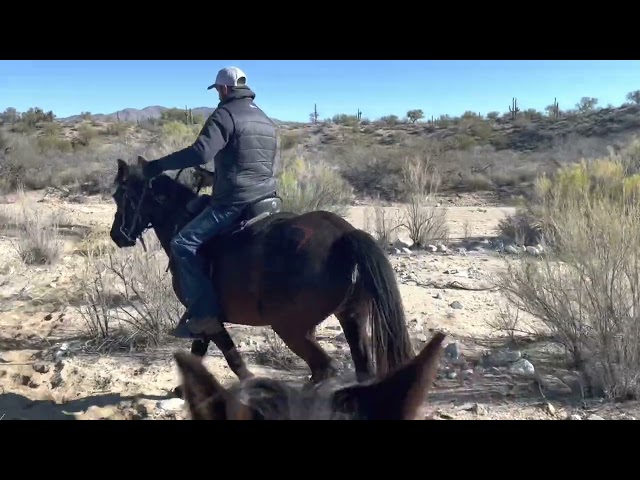2022 Land of the Sun Endurance Ride Vlog