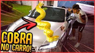 COLOQUEI UMA COBRA NO CARRO DO REZENDE!! - TROLLANDO REZENDE [ REZENDE EVIL ]