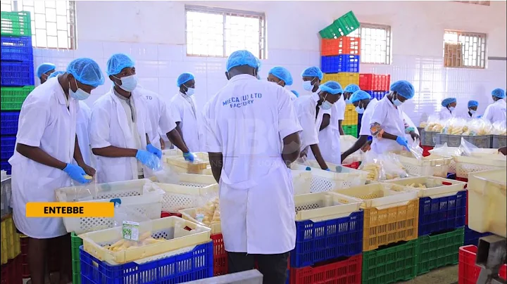 MIECA Leads Uganda’s Food Exports | Taking Value-Added Agriculture Global