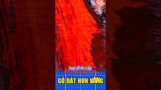 Nhặt được 1 khúc là đổi đời ý nhỉ