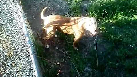 Miss Candi enjoys the sun