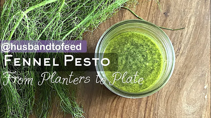 Fennel Pesto || Easy Recipe - DayDayNews