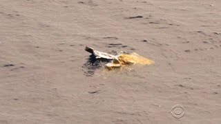 More pieces of missing container ship found