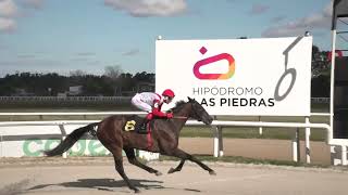 18/05/2024 – Hipodromo Las Piedras – Carr 7 – OLYMPIC HARVARD (2020)