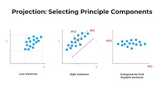 Using PCA Draw - a different PCA on T-BioInfo