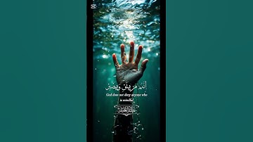 آيات من سورة يوسف اسمع يوسف عليه السلام ماذا قال اخوته #القرآنالكريم #القزابري #المصحف