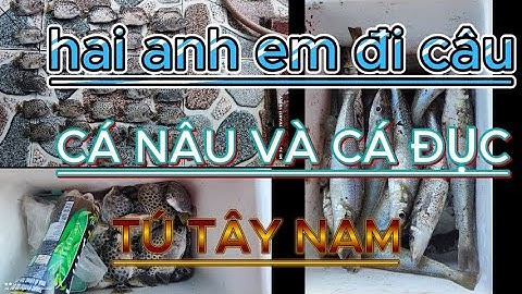 2 anh em đi câu cá nâu và cá đục _ FISHING HUNTING