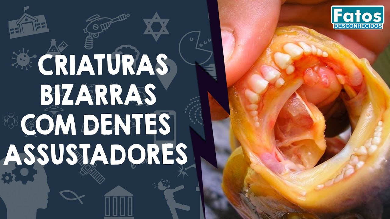 6 criaturas bizarras com dentes assustadores