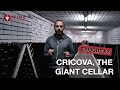 CRICOVA, THE GIANT WINE CELLAR | WINE EXPLORERS