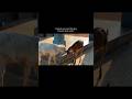 animal,s #are#proof#thatlove