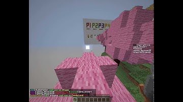 HACKER on Super Craft Bros