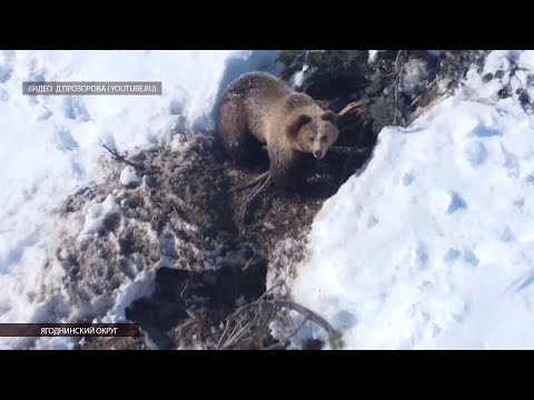 В Магаданской области