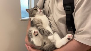 退院した猫をお迎えに行ったら寂しすぎたみたいでこうなっちゃいました…