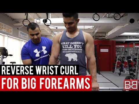 REVERSE WRIST CURLS for FOREAMRS! (Hindi / Punjabi) - YouTube