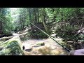 BROOK TROUT Fishing in Small MOUNTAIN STREAM