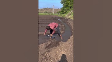 Farmer’s Work in the Field: Directing Water for Irrigation