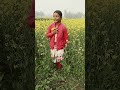 my cute bon