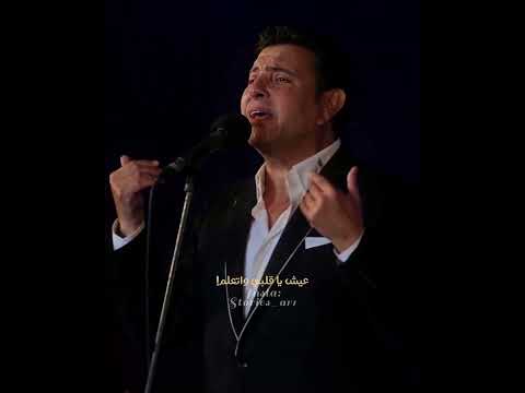 بكل العمر حبيته هاني شاكر