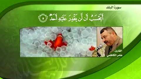 تلاوة مباركة من الجزء الثلاثين بالطور العراقي للقارئ الأستاذ الحاج عامر الكاظمي - القسم الثالث
