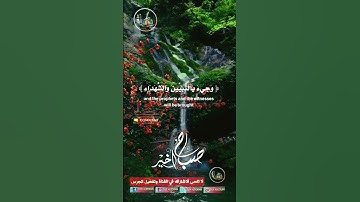 #دار_القرآن #duet #القرآن_الكريم #تلاوة_صوت_جميل_عذب #اكسبلور #دويتو #dar_alkoran #راحة_نفسية