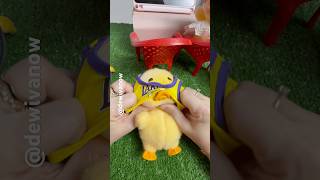 Download Lagu Dibeliin baju baru #dewivanow #upsetduck #bajuupsetduck #upsetduckdewivanow MP3 Download Lagu Dibeliin baju baru #dewivanow #upsetduck #bajuupsetduck #upsetduckdewivanow MP3