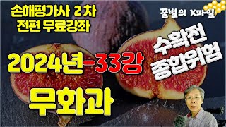 2024년 손해평가사 33강, 수확전 종합위험 - 무화과, 손해평가사 2차시험 전과목 무료강의 by 손해평가사X파일-행복한 꿀벌 2,981 views 4 months ago 34 minutes