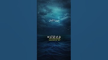 ماتيسر من سورة النمل .. #quran #قرآن #trending #اكسبلور #راحة_نفسية #foryou #explore #islam #fypシ