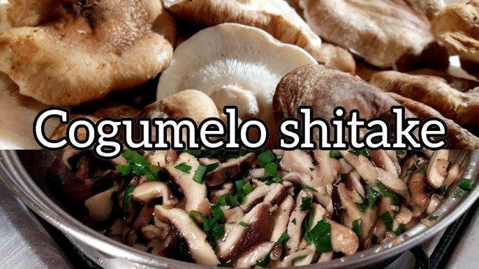 Como preparar shimeji e Shitake 