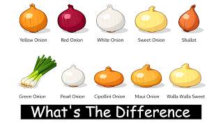 Every Type of Onion Explained