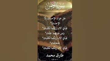 The Holy Quran Ar Rahman Al Sheikh Tareq Mohammad قران كريم الشيخ طارق محمد سورة الرحمن