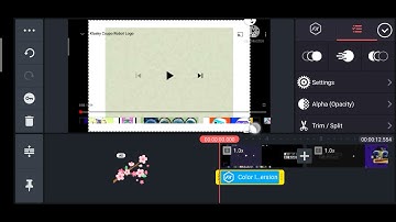 How to make Rgb to gbr and rgb to gbr reversed on kinemaster and youtube