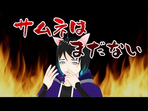 【VALORANT】かすたむ 猫垣シズク視点【Vtuber】