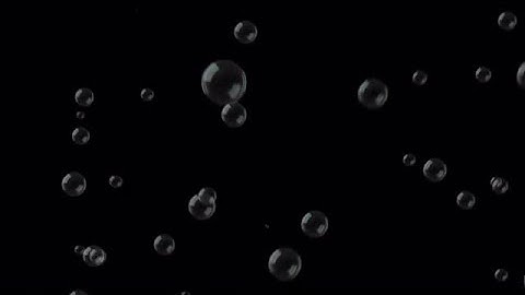 Soap Bubbles Float Stock Motion Graphics