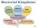 Bacterial Functions and Characteristics