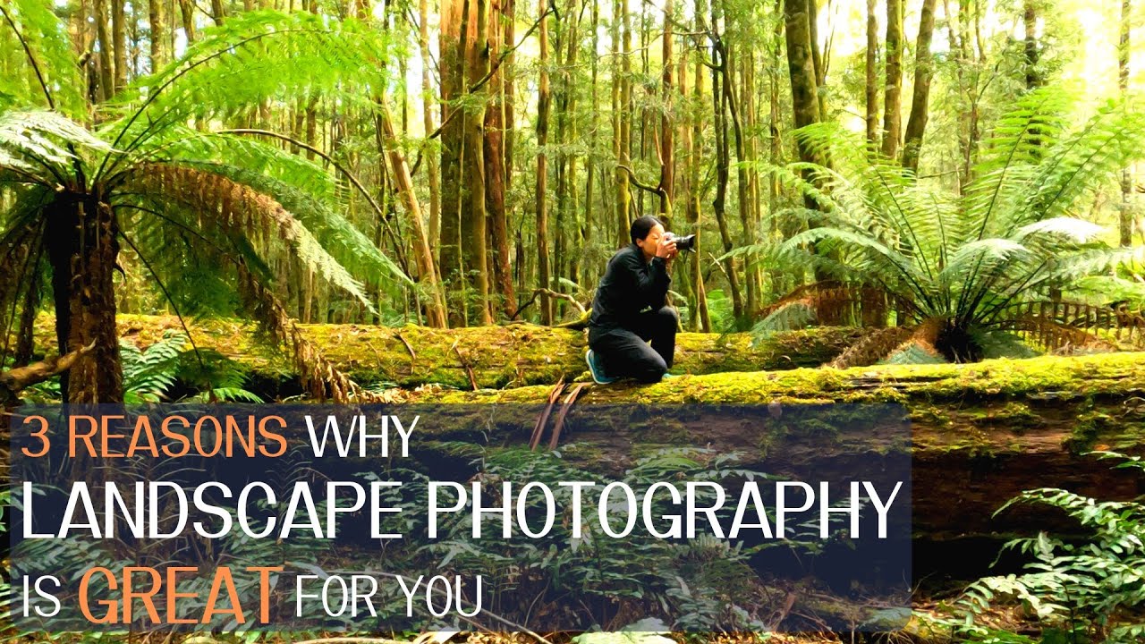 3 Reasons Why Landscape Photography Is Great For You YouTube