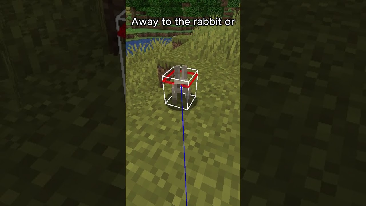 What is the Biggest and Smallest Hitbox in Minecraft?